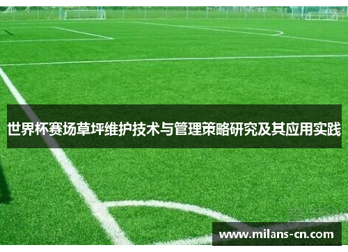 世界杯赛场草坪维护技术与管理策略研究及其应用实践